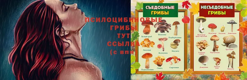 Псилоцибиновые грибы мицелий  shop официальный сайт  Горняк 